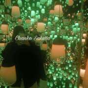 ヒメ日記 2026/03/27 19:16 投稿 さくら 京都祇園・南インターちゃんこ