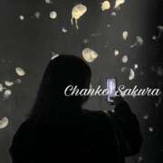 ヒメ日記 2026/03/31 11:01 投稿 さくら 京都祇園・南インターちゃんこ