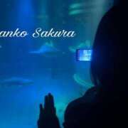 ヒメ日記 2026/04/01 15:41 投稿 さくら 京都祇園・南インターちゃんこ