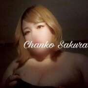 ヒメ日記 2026/04/02 17:15 投稿 さくら 京都祇園・南インターちゃんこ