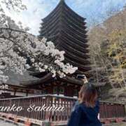 ヒメ日記 2026/04/04 07:02 投稿 さくら 京都祇園・南インターちゃんこ