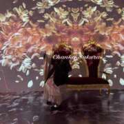 ヒメ日記 2026/04/07 07:58 投稿 さくら 京都祇園・南インターちゃんこ