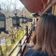 ヒメ日記 2026/04/10 14:46 投稿 さくら 京都祇園・南インターちゃんこ