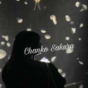 ヒメ日記 2026/04/11 15:59 投稿 さくら 京都祇園・南インターちゃんこ