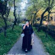 ヒメ日記 2026/04/12 10:42 投稿 さくら 京都祇園・南インターちゃんこ