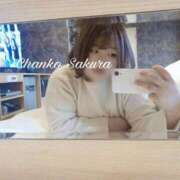 ヒメ日記 2026/04/13 07:03 投稿 さくら 京都祇園・南インターちゃんこ