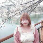 ヒメ日記 2026/04/13 17:00 投稿 さくら 京都祇園・南インターちゃんこ