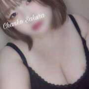 ヒメ日記 2026/04/13 23:16 投稿 さくら 京都祇園・南インターちゃんこ