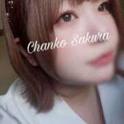 ヒメ日記 2026/04/14 07:03 投稿 さくら 京都祇園・南インターちゃんこ