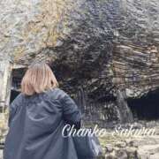 ヒメ日記 2026/04/14 12:02 投稿 さくら 京都祇園・南インターちゃんこ