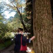 ヒメ日記 2026/04/14 17:00 投稿 さくら 京都祇園・南インターちゃんこ