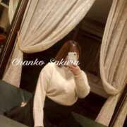 ヒメ日記 2026/04/15 20:15 投稿 さくら 京都祇園・南インターちゃんこ