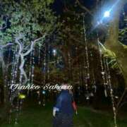 ヒメ日記 2026/04/17 07:03 投稿 さくら 京都祇園・南インターちゃんこ