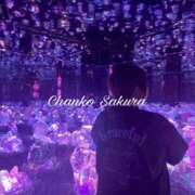 ヒメ日記 2026/04/17 17:01 投稿 さくら 京都祇園・南インターちゃんこ