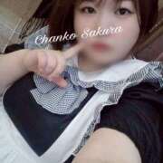 ヒメ日記 2026/04/17 20:15 投稿 さくら 京都祇園・南インターちゃんこ