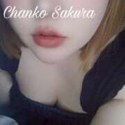 ヒメ日記 2026/04/18 17:01 投稿 さくら 京都祇園・南インターちゃんこ