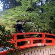 ヒメ日記 2026/04/19 12:03 投稿 さくら 京都祇園・南インターちゃんこ