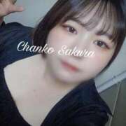 ヒメ日記 2026/04/19 19:08 投稿 さくら 京都祇園・南インターちゃんこ