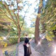 ヒメ日記 2026/04/20 10:53 投稿 さくら 京都祇園・南インターちゃんこ