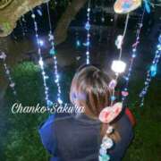 ヒメ日記 2026/04/20 17:18 投稿 さくら 京都祇園・南インターちゃんこ