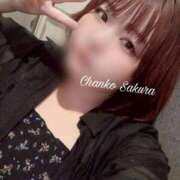 ヒメ日記 2026/04/23 17:20 投稿 さくら 京都祇園・南インターちゃんこ