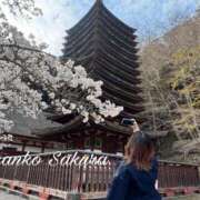 ヒメ日記 2026/04/24 07:02 投稿 さくら 京都祇園・南インターちゃんこ