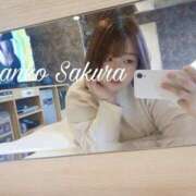 ヒメ日記 2026/04/24 12:03 投稿 さくら 京都祇園・南インターちゃんこ