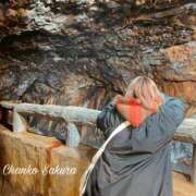 ヒメ日記 2026/04/27 07:02 投稿 さくら 京都祇園・南インターちゃんこ