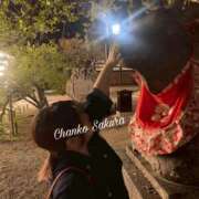 ヒメ日記 2026/04/29 07:03 投稿 さくら 京都祇園・南インターちゃんこ