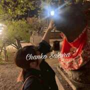 ヒメ日記 2026/05/24 07:03 投稿 さくら 京都祇園・南インターちゃんこ