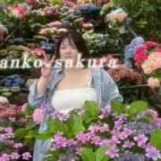 ヒメ日記 2026/06/27 07:22 投稿 さくら 京都祇園・南インターちゃんこ