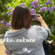 ヒメ日記 2026/06/29 07:02 投稿 さくら 京都祇園・南インターちゃんこ