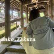 ヒメ日記 2026/08/26 07:21 投稿 さくら 京都祇園・南インターちゃんこ
