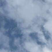 ヒメ日記 2026/04/11 08:02 投稿 坂巻亜紀 五十路マダム 愛されたい熟女たち 高松店