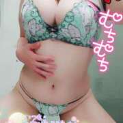 ヒメ日記 2024/12/24 18:57 投稿 なつめ 蒼いうさぎ