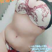 ヒメ日記 2025/01/22 12:57 投稿 なつめ 蒼いうさぎ