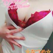 ヒメ日記 2025/02/18 11:26 投稿 なつめ 蒼いうさぎ