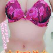 ヒメ日記 2025/02/23 14:30 投稿 なつめ 蒼いうさぎ