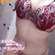 ヒメ日記 2025/07/14 10:39 投稿 なつめ 蒼いうさぎ