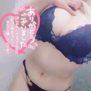 ヒメ日記 2025/07/29 08:30 投稿 なつめ 蒼いうさぎ