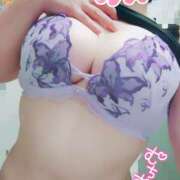 ヒメ日記 2025/08/27 15:03 投稿 なつめ 蒼いうさぎ