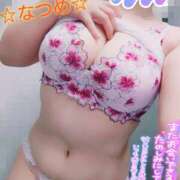 ヒメ日記 2025/11/27 11:58 投稿 なつめ 蒼いうさぎ