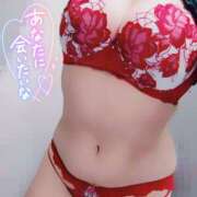 ヒメ日記 2026/03/12 10:12 投稿 なつめ 蒼いうさぎ