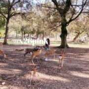 ヒメ日記 2025/12/01 00:53 投稿 PINK ニューハーフヘルスSURPRISE ONE日本橋店