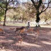 ヒメ日記 2025/12/18 14:56 投稿 PINK ニューハーフヘルスSURPRISE ONE日本橋店