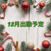 ♦りりか♦ 🎄12月の予定🎄 翡翠の夢