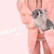 ヒメ日記 2025/02/06 18:47 投稿 そまり 東京メンズボディクリニック TMBC 渋谷店