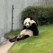 ヒメ日記 2025/05/25 12:10 投稿 井上 熟らぶ