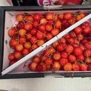 ヒメ日記 2025/06/24 10:36 投稿 井上 熟らぶ