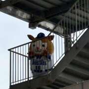 ヒメ日記 2025/06/29 08:33 投稿 井上 熟らぶ